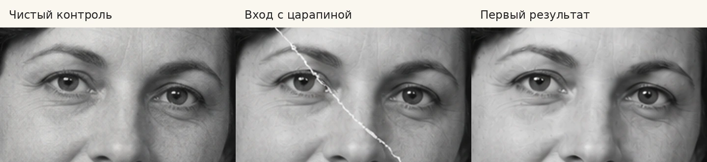 Одинаковый фрагмент глаз: чистый контроль, повреждённый вход и результат удаления царапины